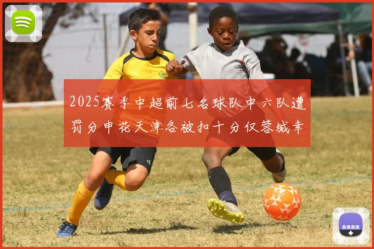 2025赛季中超前七名球队中六队遭罚分申花天津各被扣十分仅蓉城幸免