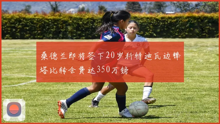 桑德兰即将签下20岁科特迪瓦边锋塔比转会费达350万镑
