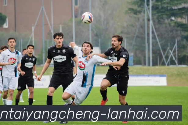 平台使命图